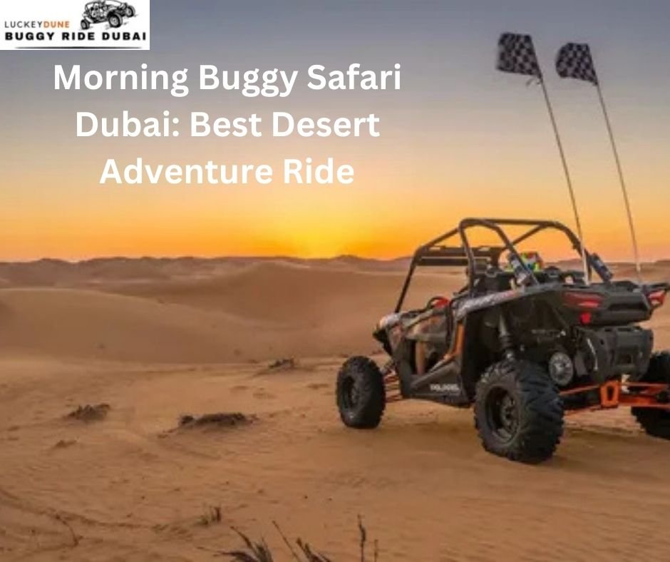 morning buggy safari